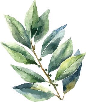 sage