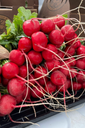 radish on tray